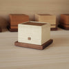 Square Button Box